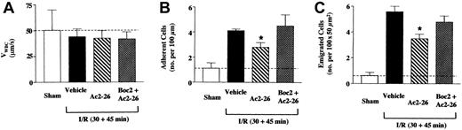 Fig. 3. Peptide Ac2-26 inhibition of the leukocyte-endothelium interaction in I/R-inflamed mesenteric vessels of FPR KO mice. / FPR KO mice were administered, through the jugular vein, PBS (100 μL; vehicle group, ▪), peptide Ac2-26 (100 μg corresponding to 33 nmol) alone (▧) or with Boc2 (10 μg corresponding to 12 nmol, ▨) at the beginning of the reperfusion period (ie, 30 minutes after ischemia), and mesenteries were analyzed 45 minutes later. A group of sham mice (■) was also included and analyzed 75 minutes after laparoctomy. The leukocyte-endothelium interaction was quantified in terms of (A) velocity of white blood cell rolling (expressed as VWBC); (B) number of adherent cells per 100 μm vessel length; and (C) number of emigrated cells per 100 × 50 μm2 area (see also Figure 1B). Data are mean ± SEM of n = 6 mice per group (n = 3 for sham group). Dotted lines highlight the sham values. *P < .5 versus respective vehicle-treated group.