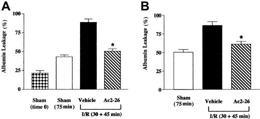 Fig. 4. Peptide Ac2-26 inhibits albumin leakage in inflamed mesenteries of WT and FPR KO mice. / Mice were administered, through the jugular vein, PBS (100 μL; vehicle group) or peptide Ac2-26 (100 μg corresponding to 33 nmol) at the beginning of the reperfusion period (ie, 30 minutes after ischemia). FITC-labeled albumin was infused and allowed to circulate for 5 to 10 minutes, prior to analysis that was performed 45 minutes into the reperfusion period. As in the experiments in Figures 2 and 3, a sham group (75 minutes) was run in parallel. In addition, a sham group in which albumin leakage was determined immediately after laparoctomy (time 0) was also used. (A) Wild-type mice; (B) FPR KO mice. Data are mean ± SEM of n = 6 mice per group, with the exception of sham (time 0) where n = 3. *P < .5 versus respective vehicle-treated group.