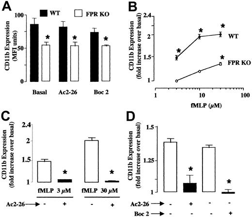 Fig. 5. Peptide Ac2-26 inhibits fMLP-induced changes in CD11b expression or on polymorphonuclear leukocytes (PMN) prepared from WT or FPR KO mice. / Blood aliquots were incubated with peptide Ac2-26 (200 μg/mL or 66 μM) or Boc2 (100 μM) for 10 minutes prior to addition of fMLP. CD11b expression on the cell surface was measured by flow cytometry 15 minutes later. (A) Basal CD11b levels on blood PMN in WT (▪) and FPR KO (■) mice. (B) Concentration-response curves for fMLP in neutrophils taken from WT (●) and FPR KO (○) mice. Data are mean ± SEM of n = 6 to 8 experiments performed with n = 3 to 4 mice each. *P < .05 versus unstimulated cells (basal values were 86 ± 9 and 54 ± 3 units of fluorescence intensity for WT and FPR KO cells, respectively). (C) Peptide Ac2-26 blocks both 3 and 30 μM fMLP-induced CD11b up-regulation on WT PMN. Data are mean ± SEM of n = 4 to 6 experiments performed with n = 3 mice each. *P < .05 versus unstimulated cells (basal values were 82 ± 4 units of fluorescence intensity). (D) Effect of peptide Ac2-26 and Boc2 on 30 μM fMLP-induced CD11b up-regulation in neutrophils from FPR KO mice. Data are mean ± SEM of n = 3 to 5 experiments performed with n = 3 mice each. *P < .05 versus unstimulated cells (basal values in absence of fMLP were 56 ± 4 units of fluorescence intensity).