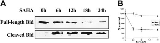 Fig. 5. Involvement of mitochondrial events in SAHA-induced apoptosis. / (A) SAHA (5 μM) induced cleavage of Bid, a member of the Bcl-2 family. Cleaved Bid translocates to the mitochondria to promote apoptosis. (B) Overexpression of Bcl-2, which stabilizes the mitochondria and antagonizes the effects of Bid, protected MM.1S cells against SAHA-induced cell death. Cell survival (average ± SD) was quantified by MTT. Neo indicates neomycin, and refers to the empty vector that carries only the neomycin resistance gene but no Bcl-2 cDNA.