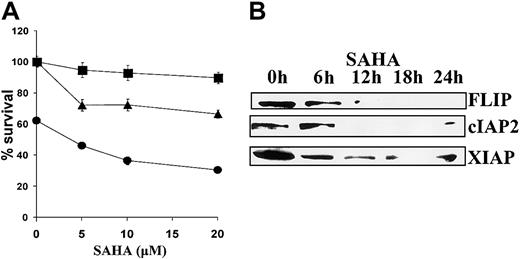 Fig. 6. Sensitizing effect of SAHA to death receptor–induced apoptosis. / (A) MM.1S cells were pretreated with the indicated concentrations of SAHA for 6 hours and then treated with low concentrations of TRAIL/Apo2L (50 ng/mL, ●), the Fas-activating antibody CH-11 (25 ng/mL, ▴), or vehicle (▪) for additional 18 hours. Error bars represent SD. (B) SAHA down-regulated the antiapoptotic proteins FLIP, cIAP2, and XIAP, which regulate death receptor–mediated apoptotic signaling.