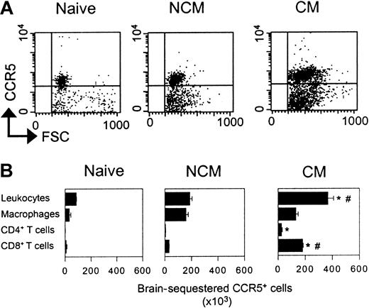 Figure 2. Expression of CCR5 on BSLs. (A) Dot plots representing size and CCR5 expression on whole BSLs from WT mice (naive, NCM, and CM). (B) Number of sequestered leukocyte subsets expressing CCR5 from the whole brain of WT mice (naive, NCM, and CM). *P < .05 versus naive mice. #P < .05 versus NCM mice. Error bars represent mean (SE) of 5 to 10 mice per group.