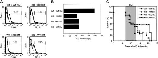 Figure 3. Relationship of CM to CCR5 expression on leukocytes and a radio-resistant brain cell. CCR5 expression on leukocytes and a radio-resistant cell in the brain is essential for CM. (A) Histograms of CCR5 expression on peripheral blood mononuclear cells of WT mice engrafted with WT BM, KO mice engrafted with KO BM, WT mice engrafted with KO BM, and KO mice engrafted with WT BM. Expression of CCR5 was assessed on peripheral blood leukocytes 10 weeks after BM engraftment for all reconstituted mice (7 to 10 per group). These histograms are representative of one mouse per group. Control is shown as a thin line. (B-C) CM incidence occurring between day 7 and day 13 (B) and survival time (C) of WT mice engrafted with WT BM (n = 8), KO mice engrafted with KO BM (n = 8), WT mice engrafted with KO BM (n = 10), and KO mice engrafted with WT BM (n = 8) and all infected with PbA (106 PE) 10 weeks after reconstitution. Neurologic signs first appear late on days 7 to 10, with death occurring 2 to 3 days after their onset (shaded area). On day 13, as calculated by Fisher exact test, P < .05 between WT mice engrafted with WT BM and KO mice engrafted with KO BM.