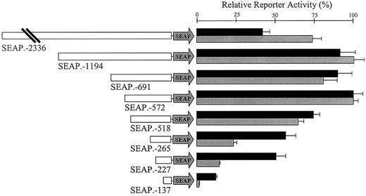 Figure 5. Deletion analysis of sequences 5′ to the hEPCR gene in endothelial cells. Constructs containing serial deletions of the 5′ sequence of the hEPCR gene fused to the gene for SEAP (represented schematically on the left of the figure) were transiently transfected into EA.hy926 cells (▪) and HUVECs (▦) as described in “Materials and methods.” The relative normalized reporter activity is shown on the right of the figure, ± standard error.