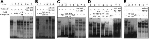 Figure 6. Mapping of transcription factor binding sites in the hEPCR gene promoter by EMSA. Double-stranded oligonucleotides, corresponding to active regions identified in 5′ deletion analysis, were labeled with α-32P, incubated with EA.hy926 cell nuclear extracts, and separated by EMSA using native-polyacrylamide gel electrophoresis (PAGE; see “Materials and methods”). The probes used were as follows: (panel A) RI; (panel B) RII; (panel C) RIII; (panel D) RIV; and (panel E) RV (Table 2). Where indicated, an excess of unlabeled oligonucleotides, containing mutated bases within putative transcription factor binding sites, was included during incubation (Table 2). For supershift analysis, 100 μg/mL polyclonal antibodies to Sp1 or Sp3 was included as indicated. The arrow in panel D indicates the presence of a supershifted band (con = consensus, mt = mutant).