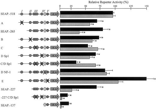 Figure 7. Functional significance of mapped transcription factor binding sites. The function of each mapped transcription factor binding site was investigated by introducing an appropriate mutation into the construct SEAP.–518 or SEAP.–227. These mutations are represented schematically on the left side of the figure. All of the identified binding sites within the wild-type constructs SEAP.–518, SEAP.–265, SEAP.–227, and SEAP.–137 are shown. The Sp1 family protein binding sites are represented by gray circles, and the NF-1 binding site is represented by a pale gray rectangle. The overlapping circles represent the cluster of 3 overlapping Sp1 sites, all of which were mutated for this investigation. Symbol(s) that are crossed represent those site(s) mutated in each construct. The precise mutation(s) introduced were those indicated in Table 2. Mutant constructs (named according to the corresponding EMSA in Figure 6) were transiently transfected into EA.hy926 cells (▪) or HUVECs (▦) as described in “Materials and methods.” Normalized reporter activity is shown relative to the wild-type SEAP.–518 construct ± standard error. The log activity of each mutant was compared with this using a paired t test; those with significantly different activities (P < .05) are indicated with an asterisk.