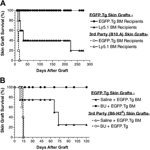 Figure 5. Skin graft survival after busulfan. (A) Skin graft survival (EGFP.Tg and B10.A) performed at 17 weeks after BMT in 5 female B6 recipients of busulfan (BU, 2 × 10 mg/kg) and BMCs from B6-EGFP.Tg or B6-Ly5.1 donor mice. (B) Skin graft survival (EGFP.Tg and B6-H2b) performed at 12 weeks after BMT in male B6 recipients of saline (4 mice) or BX (2 × 10 mg/kg) (5 mice) and BMCs from B6-EGFP.Tg donor mice.