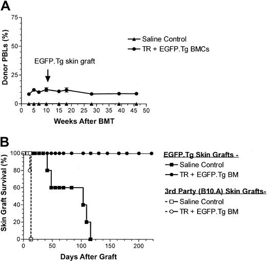 Figure 9. Chimerism and skin graft survival after treosulfan. (A) PBL donor-type chimerism (mean ± SEM) after recipient pretreatment with treosulfan (3 × 500 mg/kg) followed by transplantation (15 × 106 BMCs) from B6-EGFP.Tg donor mice (•). ▴ indicates saline control mice. (B) Skin graft survival (EGFP.Tg and B10.A) performed 10 weeks after BMT. Each group contained 5 mice.