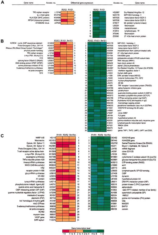 Figure 1. Microarray data analysis showing relative gene expression levels of the B-CLL subset resistant to irradiation-induced apoptosis. (A) Comparative data analyses and ratios between resistant (R) and sensitive (S) B-CLL samples both expressing p53wt from first (R1/S1) and from second (R2/S2) microarray analysis revealed that 5 transcripts were up-regulated (red boxes) and 10 transcripts were down-regulated (green boxes) in a constitutive manner in resistant B-CLL samples. (B) Comparisons between all resistant (R′) versus sensitive (S′) samples in 2 microarrays at 3 hours after irradiation only, expressing both p53wt (R′1/S′1, R′2/S′2), and p53mt (Rm′/S′1), showed that 36 transcripts were down-regulated and 13 transcripts were up-regulated in all resistant B-CLL samples, regardless of p53 status. (C) Comparisons between resistant samples only, before and after irradiation (R′1/R1, R′2/R2 Rm′/Rm1), showed modified expression of 58 transcripts (31 up- and 27 down-regulated). The green (down-regulation) to red (up-regulation) color scale indicates the relative values (fold change, FC) of gene expression levels.