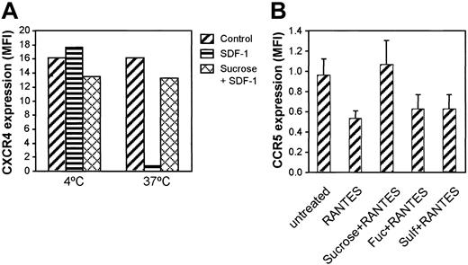 Figure 5. Effect of clathrin on CXCR4 and CCR5 internalization. (A) Jurkat cells were incubated with SDF-1 (500 ng/mL) or SDF-1 plus 0.6 M sucrose in RPMI for 1 hour at 4°C or 37°C. Then CXCR4 expression was examined by immunofluorescence staining. (B) PBMCs were incubated with RANTES (500 ng/mL) in the presence of sucrose, fucoidan, or sulfatide for 1 hour at 37°C. Then CCR5 expression was examined by immunofluorescence staining and flow cytometry.