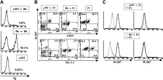 Figure 1. Detection of B-cell reconstitution in μMT → B6 chimeras. (A) Staining of spleen cells from μMT → B6 chimeras with anti-immunoglobulin antibodies 3 months after preparation. A representative staining profile of a B6 → B6 chimera as well as the staining profile of a donor μMT mouse are shown. All samples were stained with polyclonal rat antimouse immunoglobulin antibodies that were labeled with FITC. (B) μMT → F1 chimeras and control B6 → F1 chimeras were prepared as described in “Materials and methods.” Reconstitution of blood lineages was assessed by antibody staining of lymph node and spleen cells with anti-Thy-1 antibodies (biot-J1j) for T-cell lineage identification, PE–anti-CD19 for B-cell lineage identification together with anti–class I antibodies specific for H-2Dd molecules (FITC-34-4-21S). (C) Myeloid lineages were analyzed by staining peritoneal cavity cells with anti–H-2Kb (right panels) or anti–H-2Kd (left panels) antibodies. Representative staining profiles for one mouse from each group (μMT → F1 and B6 → F1, broken lines) are shown. Staining of normal F1 mice with each antibody is depicted by solid lines.