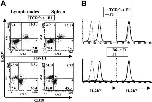 Figure 2. Host cells contribute specifically to the T-cell lineage in TCR–/– → F1 bone marrow chimeras. Bone marrow cells from T-cell–deficient mice were used to reconstitute normal CB6F1 recipients as described in “Materials and methods.” (A) The staining profile of one representative mouse is shown. Reconstitution of blood lineages was assessed starting at 3 months after transfer, by antibody staining of lymph node and spleen cells with anti-Thy-1 antibodies (biot-J1j) for T-cell–lineage identification, PE–anti-CD19 for B-cell–lineage identification together with anti–class I antibodies specific for H-2Dd molecules (FITC-34-4-21S). (B) Myeloid lineages were analyzed by staining peritoneal cavity cells with anti–H-2Kb (right panels) or anti–H-2Kd (left panels) antibodies. Representative staining profiles for one mouse from each group (TCR—/— → F1 and B6 → F1, broken lines) are shown. Staining of normal F1 mice with each antibody is depicted by solid lines.