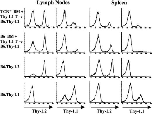 Figure 7. Cotransferred congenic (Thy-1.1) cells do not inhibit the emergence of host-derived (Thy-1.2) cells in TCR–/– → F1 mice. To determine the influence of mature peripheral T cells on T-cell reconstitution by host cells, bone marrow chimeras were prepared in which 20 × 106 Thy-1.1+ T cells were cotransferred with either B6.Thy-1.2 BM or TCR—/—.Thy-1.2 BM into lethally irradiated B6.Thy-1.2 recipients. Staining profiles of lymph node and spleens of one mouse from each group as well as control mice are shown. Samples were stained with FITC-J1j (anti-Thy-1.2) and FITC-T11De (anti-Thy-1.1).