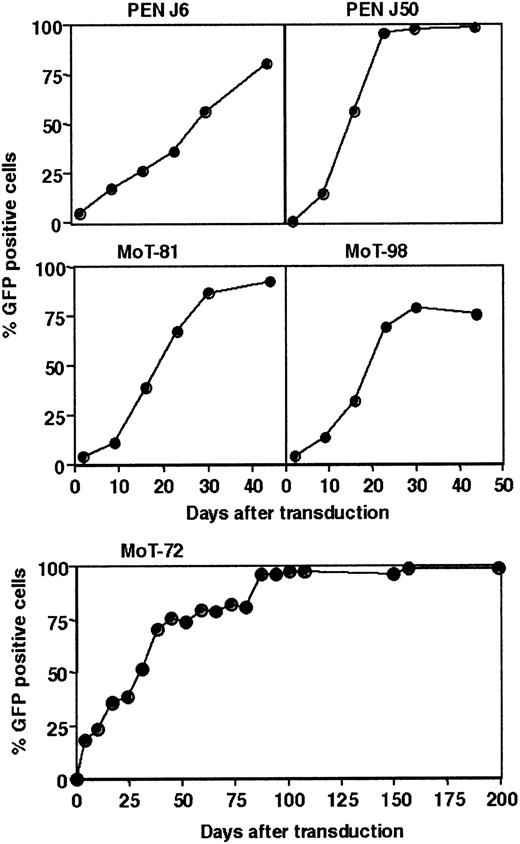 Figure 1. Ectopic expression of hTERT in human CD4+ T-cell clones. Twelve CD4+ T-cell clones were transduced with hTERT-GFP, and the percentage of hTERT-GFP–expressing cells was monitored weekly by flow cytometry. Curves show the accumulation of hTERT-GFP–positive cells in the hTERT-transduced T-cell cultures of clones PEN J6, PEN J50, MoT-81, MoT-98, and MoT-72. Similar results were obtained upon hTERT transduction of the other clones mentioned in Table 1.
