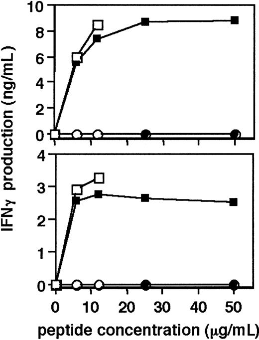 Figure 3. Antigen-specific activation of hTERT-transduced CD4+ T cells. Top graph shows the production of IFNγ by hTERT-GFP–transduced (□) and untransduced CD4+ T-cell clone MoT-81 (▪), stimulated for 24 hours with tetanus toxoid peptide 16-35 or control tetanus toxoid peptide 941-960 (○ and •, respectively) at the indicated concentrations. Bottom graph shows the stimulation of hTERT-GFP transduced (□) and untransduced CD4+ T-cell clone MoT-98 (▪) with tetanus toxoid peptide 16-35 or control tetanus toxoid peptide 941-960 (○ and •, respectively). ELISA assays were performed on supernatants of triplicate cultures. Graphs show a representative example of 2 experiments.