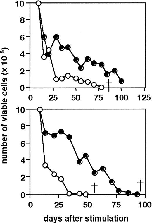 Figure 5. Cell death in hTERT-transduced T-cell cultures in the absence of stimulation. CD4+ T-cell clone MoT-72 cells (top panel) and CD8+ T-cell clone AKR103 (bottom panel) transduced with hTERT–puro-transduced (•) or untransduced (○), respectively, were seeded at 1 × 105 per mL 12 days after the last stimulation and cultured in medium containing IL-2 without stimulation for 100 days. Viable cells were counted weekly by trypan blue exclusion. † indicates death of the culture.