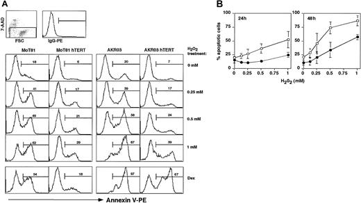 Figure 8. hTERT-transduced T cells are more resistant to oxidative stress than untransduced cells. Untransduced and hTERT-transduced cells of Th1/Th0-like clone MoT-81, Th2 clone BOY JF157, or CD8+ clone AKR103 taken 2 weeks after stimulation were depleted of dead cells and treated with H2O2 at the indicated concentrations in the presence of FeSO4 and rhIL-2. The presence of apoptotic cells was analyzed after 5 hours, 24 hours, or 48 hours of incubation by annexin V binding. In parallel cultures, apoptosis was induced by treatment with dexamethasone. Graphs show the percentage of annexin V–positive and 7-AAD–negative (apoptotic) cells after overnight incubation. (A) Percentage of apoptotic cells of clone MoT-81 after 48 hours of incubation (left panel) and clone AKR103 after 24 hours of incubation (right panel). Graphs show representative results of 2 (MoT-81) or 3 (AKR103) independent experiments. The graphs in the bottom row indicate the percentage of apoptosis induced by dexamethasone treatment. (B) Average percentage of apoptotic cells and standard deviation of CD4+ BOY JF157 T cells after 24 hours (left graph) or 48 hours (right graph) of incubation with H2O2, as measured in 3 independent experiments. ○ indicates BOY JF157; •, BOY JF157 hTERT.