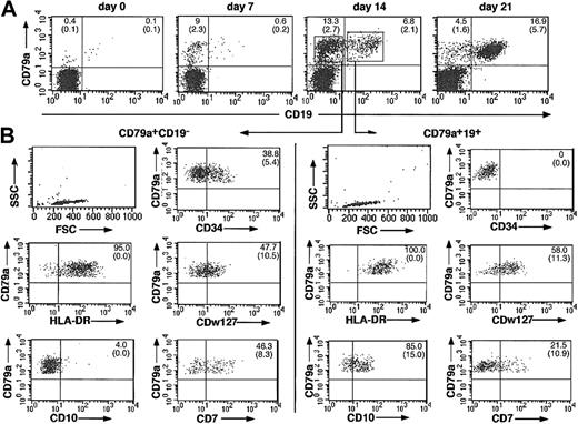 Figure 1. Immunophenotype of cells differentiated in vitro from CD34+CD10–CD19– human cord blood progenitors. (A) Kinetics of expression of the B-cell markers CD79a and CD19 on CD34+CD10–CD19– progenitors (day 0) incubated in stromal-based cultures with SCF, IL-2, and IL-15. Nonadherent and adherent cells were collected at days 7, 14, and 21; cells were first incubated with PE-Cy5–coupled anti-CD19 MoAb and then permeabilized and labeled with APC-coupled anti-CD79a MoAb. Limits for positivity and negativity were defined by incubating cells with nonimmune isotypic-matched immunoglobulin. (B) Staining profiles of CD79a+CD19– and CD79a+CD19+ cells at day 14. Nucleated cells collected from the cultures were subjected to 3-color labeling. Anti-CD79a and anti-CD19 were systematically included and associated to a third antibody recognizing HLADR, CD7, CD34, CD10, CDw127, and CD38 (not shown). Both CD79a+CD19– cells and the companion CD79a+CD19+ fraction were simultaneously analyzed for the expression of these markers using a FACScalibur and CellQuest software. Results are shown from 1 of 4 similar experiments with similar results. Mean (SD) percentages of at least 4 experiments are indicated.