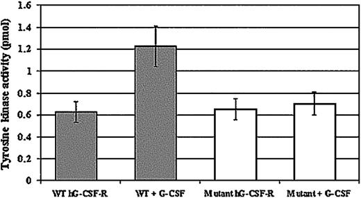 Figure 4. Tyrosine kinase activity of Syk in lysates of 32D cells transfected with WT or MT G-CSF-R. 32D myeloid cells transfected with WT G-CSF-R or the truncated MT G-CSF-R were stimulated for 10 minutes with hG-CSF and then lysed. Cell lysates were immunoprecipitated with anti-Syk antibody. Activation of Syk kinase was analyzed in immunoprecipitates. Results obtained using nonradioactive kinase assays are expressed as picomoles phosphate. Results represent the means of triplicate experiments. Error bars represent SD.