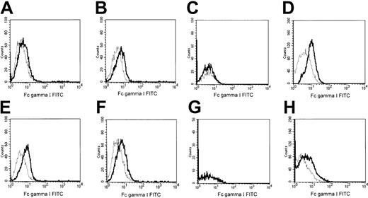 Figure 7. Expression of FcγRI after exposure to G-CSF. FcγRI cell surface expression was evaluated by flow cytometry using FITC-conjugated rat antimouse FcγRI mAb (solid lines). (A-D) Cells transfected with WT G-CSF-R; (E-H) cells transfected with mutant G-CSF-R. In panels A, B, E, and F, cells were cultured for 30 minutes in the presence (B,F) or absence of G-CSF (A,E). In panels D and H cells were cultured for 3 days in the presence of G-CSF (100 ng/mL). Panels C and G depict the cells cultured in the absence of G-CSF for 3 days (+ 2.5% WEHI medium). Dotted lines indicate fluorescence of isotype-matched antimouse Ig-FITC–incubated cells.