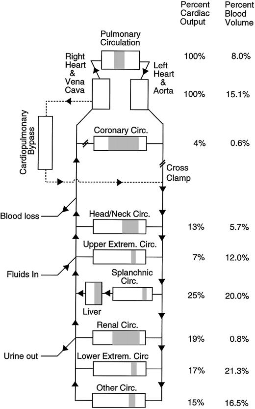 Figure 1. Diagram of the human circulatory model including cardiopulmonary bypass circuit. The figure shows the relative arterial, microvascular (shaded), and venous blood volumes for different regions of the model. Total blood volume and cardiopulmonary bypass circuit volume in the model are adjusted to match the individual subject being simulated.