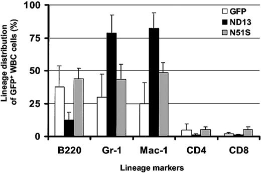 Figure 3. Expression of ND13 in vivo leads to impaired lymphopoiesis. Lineage distribution of transduced (GFP+) WBCs in recipient reconstituted with GFP-, ND13-, and ND13-N51S–transduced BM cells 4 weeks after transplantation (mean ± SD for 3-5 animals).