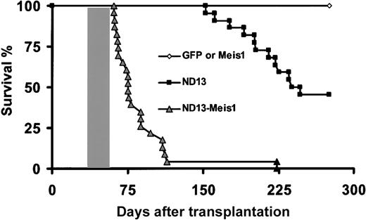 Figure 4. Survival curves. Survival curves are given for mice that received transplants of BM cells transduced with ND13 (n = 23), GFP control (n = 8), Meis1 (n = 6), or ND13 plus Meis1 (n = 21) viruses. Mice that received transplants of ND13-N51S (n = 6) and ND13-N51S-Meis1–transduced BM cells (n = 3) remained healthy (data not shown). Shaded box indicates the range of survival time for secondary transplant recipients of cells recovered from leukemic ND13-Meis1 primary mice. Two diseased ND13 mice that died 398 and 410 days after transplantation are not represented on this survival curve.