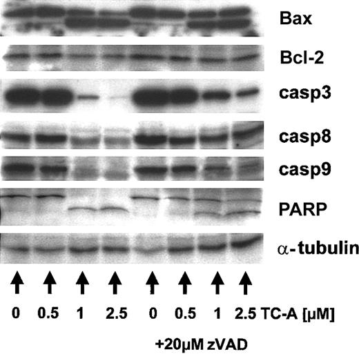 Figure 5. TC-A induces the processing of multiple cellular targets in B-CLL cells. EHEB cells were left untreated or treated with 0.5, 1, or 2.5 μM TC-A alone (left) or in combination with zVAD-fmk (20 μM; right) for 24 hours. Subsequently, cell lysates were prepared and immunoblot analyses for Bax, Bcl-2, caspase-3 (casp3), -8, -9, and PARP performed. As internal loading control for equal amounts of protein, α-tubulin was detected. Representative results from at least 2 independent experiments are presented.