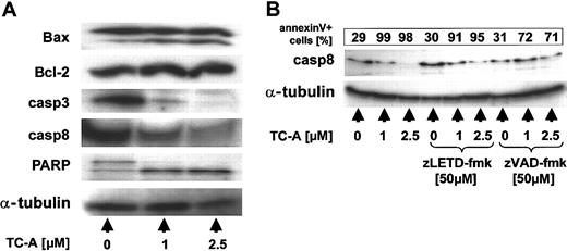 Figure 7. TC-A signaling in native B-CLL cells. (A) After purification of B-CLL cells of patients using immunomagnetic separation, cells were left untreated or treated with 1 or 2.5 μM for 24 hours. Cell lysates were prepared, subjected to immunoblotting, and analyzed for Bax, Bcl-2, caspase-3 and -8, and PARP. As internal loading control for equal amounts of protein, α-tubulin was detected. (B) B-CLL cells of patients were left untreated or pretreated with either the pancaspase inhibitor zVAD-fmk (50 μM) or an inhibitor of caspase-8—like caspases zLETD-fmk (50 μM) for 1 hour followed by the application of TC-A at the indicated concentrations, and incubations continued for 24 hours. Cell lysates were prepared, and caspase-8 was detected by immunoblotting. α-Tubulin was used as internal loading control for equal amounts of protein. In parallel, apoptosis was detected using the annexin V—FITC binding assay. The corresponding percentages of apoptotic cells are presented in the top box of the panel.