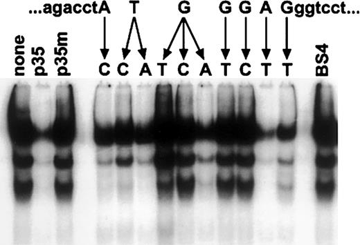 Figure 3. Scanning mutagenesis of the –35 probe to characterize the binding site for nuclear proteins. EMSA assays using p5424 nuclear extracts and the -35 probe, with wild-type or indicated mutant competitors. The wild-type p35 sequence is indicated at the top of the figure, with the respective mutations indicated by the arrows. p35 and p35m are wild-type and mutant -35 probe, respectively; BS4 is a probe with a consensus Ikaros binding site.