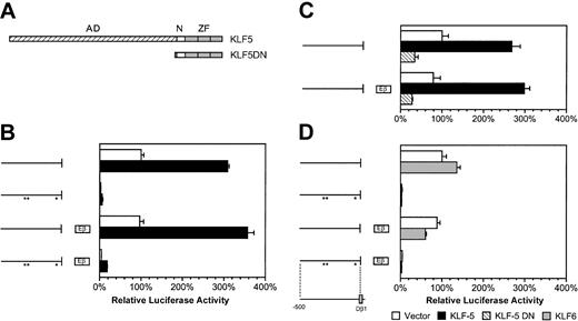 Figure 9. KLF5 but not KLF6 transactivates Dβ1 promoter expression. (A) Expression constructs representing full-length KLF5, containing putative activating domain (AD), nuclear localization signal (N), and the zinc-finger (ZF) domain. A dominant-negative KLF5 mutant construct (KLF5DN) lacks the N-terminal 358 amino acids within the activating domain. (B) Effect of vector or KLF5 on reporter gene activity in NIH/3T3 cells. Reporters included the Dβ1 promoter (+6Δ) or a construct containing mutations within the -35, -281, and -314 GC-rich motifs (asterisks). Each was tested in the presence or absence of the Eβ enhancer. (C) Effect of wild-type or KLF5DN expression constructs on Dβ1 promoter constructs without or with the Eβ enhancer. (D) Effect of KLF6 expression on Dβ1 promoter constructs in the absence or presence of Eβ enhancer. Luciferase activity in these assays is expressed relative to the vector-only control cotransfected with the wild-type Dβ1 promoter construct. Average and standard error for 3 independent transfections are presented.