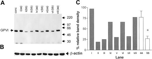 Figure 2. Total GPVI expression compared by Western blotting. (A) A Western blot of platelet lysates (equivalent to 107 platelets per lane) probed with rabbit anti-GPVI polyclonal antiserum. An arbitrary control was prepared from a platelet concentrate pooled from 4 donors (conc). Each of the lanes i-viii represents the platelets of study donor samples, with the GPVI genotype indicated. Molecular weights (kDa) of protein markers are shown to the right. (B) To control for loading, blots were reprobed with anti–β-actin. (C) Densitometric analysis relative to the control (conc = 100%) for the GPVI band in each of the other lanes (▦), as well as pooled by genotype (□). *P < .001, for the difference between pooled values. Error bars indicate SEM.