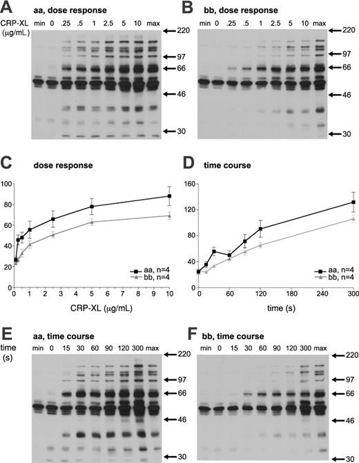 Figure 7. Platelet tyrosine phosphorylation in response to CRP-XL. Platelets from an “aa” (A) and a “bb” (B) donor were stimulated with the indicated CRP-XL concentration for 90 seconds and analyzed for tyrosine phosphorylation. Time dependence of tyrosine phosphorylation induced by 5 μg/mL CRP-XL was also determined (E-F). Basal (min) and maximum (max) standard samples were prepared independently. (C-D) Whole-lane tyrosine phosphorylation was quantified by means of densitometry and expressed as a percentage of the maximum sample. The magnitude of tyrosine phosphorylation in 4 “aa” and 4 “bb” platelets was determined and expressed as the mean ± SEM.