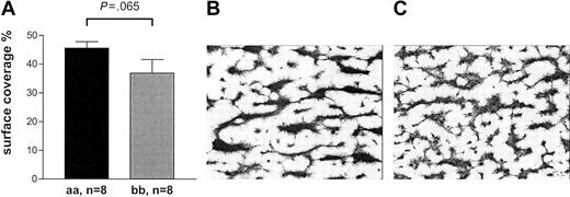Figure 8. Thrombus formation on collagen type III surface under high shear. (A) The mean surface coverage after 2.5 minutes' perfusion tended to be higher with “aa” blood compared with “bb.” Data are expressed as the mean ± SEM and tested by Mann-Whitney U test. (B-C) Typical examples of coverslips representing the mean percentage of surface coverage are depicted for “aa” blood (B) and “bb” blood (C).