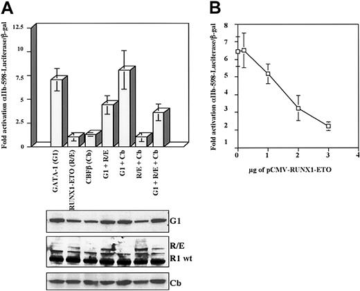 Figure 5. Inhibition of GATA-1–mediated transcriptional activation by RUNX1-ETO. (A) RUNX1-ETO inhibition of GATA-1 function in transactivation of the αIIb-598 promoter. Cotransfections were performed exactly as in Figure 4A, except that RUNX1-ETO was expressed instead of RUNX1. Results represent the mean ± SEM of 3 independent experiments. Whole cell lysates from duplicate transfections were immunoblotted with the indicated antibodies. (B) Dosage dependency of RUNX1-ETO mediated inhibition of GATA-1. A constant amount of pEF-GATA-1 (1.5 μg) was cotransfected with the indicated amounts of pCMV-RUNX1-ETO. Activation of the αIIb-598-Luc reporter was determined as in Figure 4A. Results represent the mean ± SEM of 3 independent experiments.