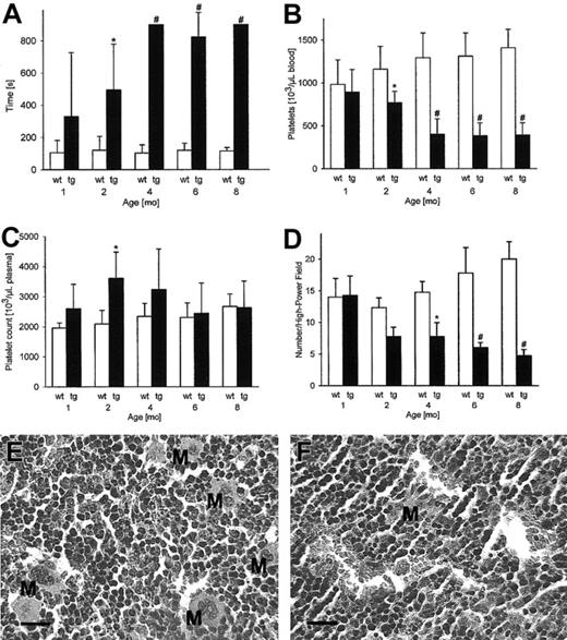 Figure 2. Subaquatic bleeding time, platelet concentrations, and bone marrow histology showing reduced megakaryocyte numbers. Subaquatic bleeding time was measured to assess hemostasis (A). Apparently reduced platelet numbers in transgenic mice (B) were calculated to be in the same range or even increased in comparison with wild-type mice when the highly reduced distribution volume of platelets; that is, the plasma fraction, was taken into account (C). Sternal bone marrow was quantified for the presence of megakaryocytes per high-power (× 400) visual field (D) showing a progressive reduction of megakaryocyte numbers with increasing age (n = 5 per group). *P < .01, #P < .001, compared with age-matched wild-type controls. Panels E (wild-type) and F (transgenic) illustrate the reduced number of megakaryocytes in 8-month-old transgenic mice compared with age-matched wild-type controls. M indicates megakaryocyte. All sections were stained with hematoxylin and eosin (original magnification, × 400), scale 20 μm.