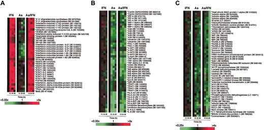 Figure 1. As and As/IFN treatment affect 2 distinct gene networks in HTLV-1+ cells. Microarray analysis of the gene expression profile of HuT-102 cells in response to treatment with IFN, As, and combined treatment with As/IFN at 12, 24, and 48 hours. The gene expression profile is presented as a matrix in which the rows represent individual array clones and the columns, individual mRNA samples from each of the 12 experiments. The relative level of gene expression is depicted according to the color scale shown. Gray squares indicate missing or excluded data. The results displayed represent the changes in gene expression over time in relation to the 12-hour control. Asterisks denote a sequence verified clone, IM indicates an IMAGE consortium clone identification number, and LC a Lymphochip clone identification number. (A) Selected genes up-regulated by IFN and As/IFN, but not by As alone. (B) Down-regulation of a selected number of NF-κB–dependent genes by As and As/IFN treatment at 12, 24, and 48 hours (details described in “Materials and methods”). (C) Cell cycle arrest by combined treatment with As/IFN. Proliferation signature genes (see “Materials and methods”) exhibit massive down-regulation at 48 hours after combined treatment with As/IFN.