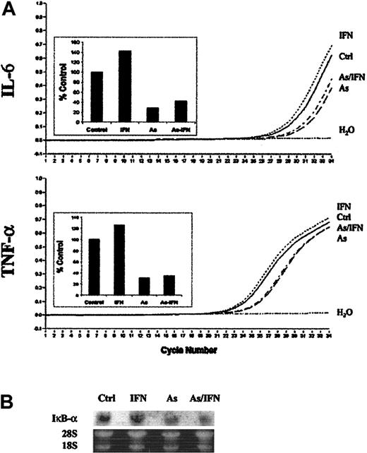 Figure 2. As and As/IFN treatments down-regulate the transcription of IκB-α, IL-6, and TNF-α genes in HTLV-1+ cells. (A) Relative quantification of IL-6 and TNF-α mRNA in untreated HuT-102 cells (ctrl) or in response to treatment with IFN, As, and combined treatment with As/IFN at 12 hours. Curves represent fluorescence versus RT-PCR cycle number. Amplification plot of the negative control (H2O) is also included. Inset histograms show the mRNA expression levels as a percentage of the untreated control cells after normalization to G6PD as described in “Materials and methods.” (B) Northern blot analysis of IκB-α mRNA expression in untreated HuT-102 cells (ctrl) or in response to treatment with IFN, As, and combined treatment with As/IFN at 48 hours. Loading was assessed by propidium iodide staining of the 28S and 18S rRNA.