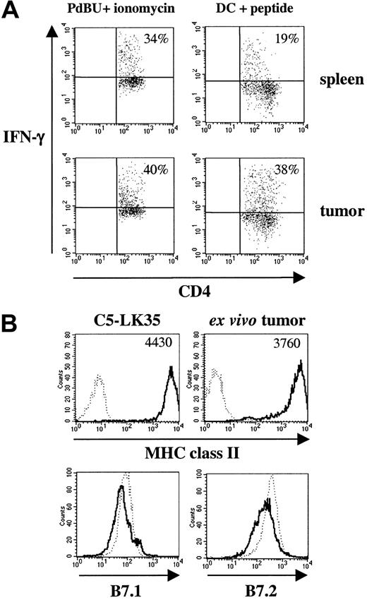 Figure 5. Assessment of lymphocyte homing or IFN-γ production by memory CD4 T cells from tumor-bearing mice. (A) Spleen cells (top row) and single cell suspensions of in vivo growing tumors (bottom row) were stained with anti—CD4-FITC and intracellularly with anti—IFN-γ-PE. Cells were restimulated with PdBu and ionomycin (left panels) or DCs and C5 peptide (right panels) overnight. Brefeldin A was added for the last 4 hours of culture. The dot plots show staining on gated CD4 T cells. Numbers refer to percentages of IFN-γ—positive cells. (B) MHC class II and costimulatory molecule expression on tumor cells. C5-transfected LK35 tumor cells or ex vivo tumor cells were stained with anti—MHC class II—FITC (clone 14.4.4; top row). Background staining is shown with a dotted line; mean fluorescence values are shown in upper righthand corners. C5-transfected LK35 tumor cells (...) and ex vivo tumor cells (—) also were stained with anti—B7.1-PE or anti—B7.2-PE (bottom row). Memory T cells were derived from mice that had been injected with naive A18 TCR transgenic T cells and syngeneic DCs.