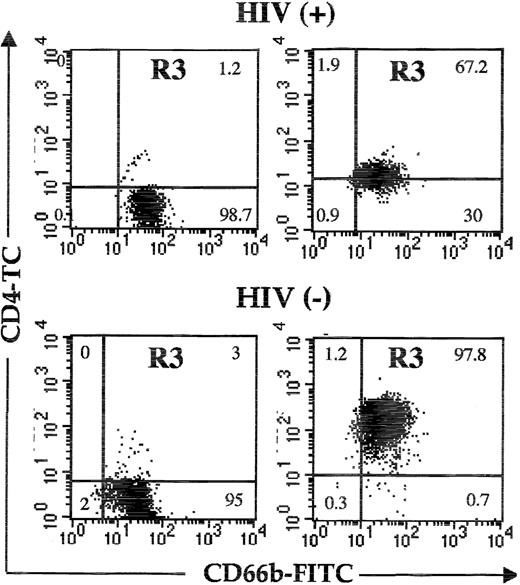 Figure 3. Detection of CD4 on CD66+ cells. Flow cytometric analyses of whole blood from 2 representative HIV-infected (top panels) and 2 uninfected (bottom panels) individuals on dual staining with CD4 and CD66b mAbs. Shown are the fluorescence intensities within morphologic gate R3 (neutrophils). The numbers indicate the percentage of positive cells in each quadrant. Ten percent of neutrophils from one of the uninfected donors were also positive on staining with another directly conjugated anti-CD4 mAb (anti–CD4-PE, clone SK3, mIgG1; BD Biosciences).