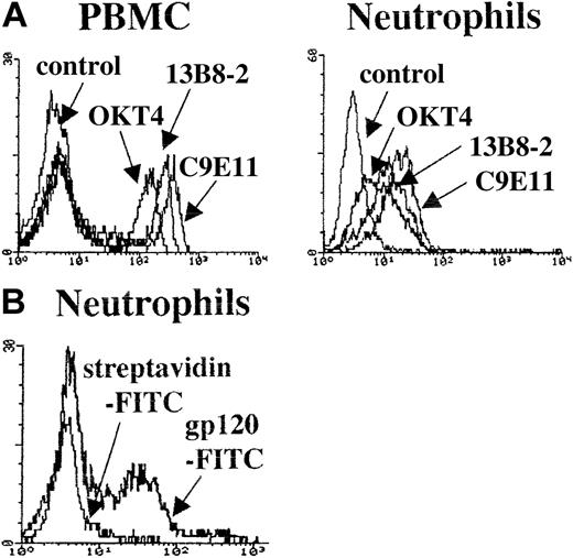 Figure 4. CD4 epitope expression on neutrophils and PBMCs and neutrophil binding of HIV-1 gp 120. (A) Histogram plots depicting overlaid fluorescence intensities of purified PBMCs and neutrophils from an HIV-uninfected control after indirect staining with the anti-CD4 mAbs OKT4, 13B8-2, and C9E11. The control histogram derives from cells stained with second-step reagent only. (B) The histogram plots show the fluorescence intensities of purified neutrophils stained with FITC-directly-conjugated gp120; streptavidin-FITC was used as control.