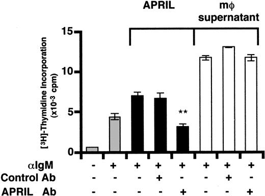 Figure 6. Immunodepletion of APRIL does not affect macrophage-induced costimulation of B cells. Macrophage-conditioned culture supernatant or recombinant human APRIL were incubated for 3 hours at 4°C with constant mixing with PBS, purified rabbit anti-human APRIL IgG, or control IgG (10 μg/mL). Protein A—Sepharose beads were added for the final 90 minutes to bind immune complexes. After centrifugation at 4°C, immunodepleted supernatants were sterile filtered and cocultured with dense tonsillar B cells in the presence of anti-human IgM F(ab′)2 fragments (10 μg/mL) as described in Figure 1. The asterisk indicates statistically significant differences between samples within the bracketed groups (P < .05).