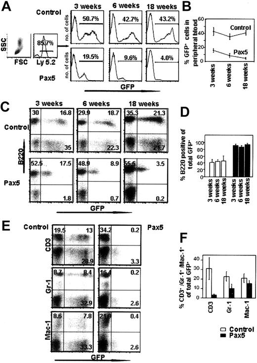 Figure 2. Peripheral blood analysis of mice reconstituted with control GFP- or Pax5-expressing cells. (A) Leukocytes were gated by forward and side scatter and also for the Ly-5.2 donor cell marker. Histograms indicate the percentage of GFP+ donor cells from representative animals. (B) The proportion of GFP+ donor cells in the peripheral blood decreases with time in animals reconstituted with Pax5-expressing cells. Each time point is representative of 5 control GFP- and 7 Pax5-reconstituted animals (P < .01). (C) Donor cells (Ly-5.2+) were gated and then analyzed for the percentage of B220+ cells in the peripheral blood. Representative plots are shown. (D) Proportion of B lymphocytes among the donor-derived GFP+ cells in the peripheral blood. The data are representative of 5 control GFP- (□) and 7 Pax5-reconstituted (▪) animals for each time point analyzed (P < .01 at 3, 6, and 18 weeks). (E-F) The percentages of peripheral blood GFP+ cells that stain positive for CD3, Gr-1, and Mac-1 are indicated. Data are representative of 4 control GFP- and 7 Pax5-reconstituted animals analyzed at 18 weeks after transplantation.