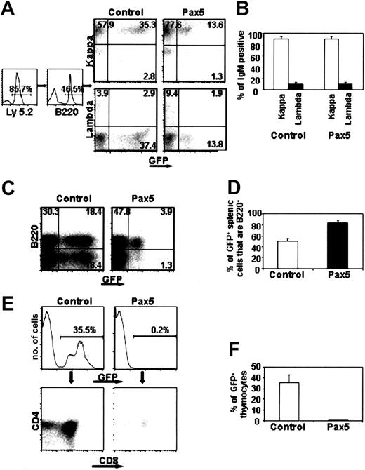 Figure 3. Analysis of lymphocyte development in spleen and thymus. (A-B) κ/λ light chain expression in peripheral blood of animals reconstituted for 12 weeks. The data are representative of 5 control GFP- and 7 Pax5-reconstituted animals. Percentages of cells within the gated quadrants are shown. (C) The percentage of B220+ B cells in spleen was analyzed in 3 control GFP- and 3 Pax5 animals at 12 weeks after transplantation. (D) The percentage of Pax5+GFP+ B lymphocytes in the spleens of reconstituted animals was statistically significant (P < .01). (E-F) Absence of Pax5-expressing thymocytes. The data are representative of 6 control GFP- and 6 Pax5-reconstituted animals analyzed at 20 weeks after transplantation.