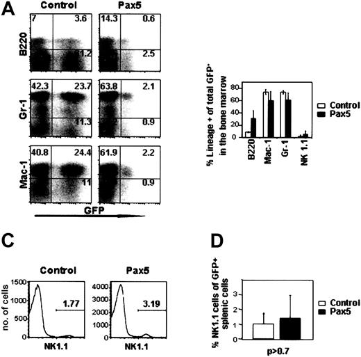 Figure 4. Bone marrow analysis of control GFP- and Pax5-expressing cells. (A) Donor-derived bone marrow cells from representative animals were stained for B220, Gr-1, Mac-1, and NK1.1. Percentages of cells within the gated quadrants are shown. (B) Percentages of donor-derived GFP+ cells that express B220 (P < .10), Gr-1 (P < .22), Mac-1 (P < .24), and NK1.1. (P < .50). Data are representative of 3 control GFP- and 3 Pax5-reconstituted animals receiving transplants 12 weeks previously. (C-D) NK1.1 staining of spleen samples from animals receiving transplants 12 weeks before (n = 3 for both constructs, P > 0.7). The cells (histograms) shown are gated on viable, GFP+ splenocytes based on propidium iodide staining.