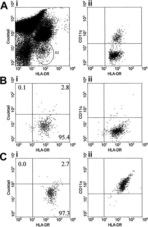 Figure 1. Estimation of DC numbers in blood and assessment of the purity of isolated pcDCs and myDCs. DCs were identified in peripheral blood mononuclear cells by their lack of labeling for a cocktail of CD3, CD14, CD16, and CD19, but positive labeling for HLA-DR (panel Ai; R2). The DCs were subsequently separated into 2 populations on the basis of labeling for CD11c (panel Aii). Following isolation with BDCA-1 and BDCA-4, the plasmacytoid (panel B) and myeloid (panel C) DCs were highly purified. Contaminating T lymphocytes are located in the upper left quadrant. For all infection studies, only DC preparations that contained fewer than 1% contaminating T lymphocytes were used. For functional studies, the majority of DC preparations had less than 1% contaminating T lymphocytes; however, 3 myDC and 3 pcDC preparations had 1% to 5% contaminating T lymphocytes. The percentage of cells within each quadrant is shown.