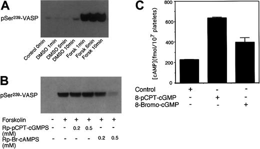 Figure 5. Phosphorylation of VASP induced by forskolin and effects of cGMP on platelet cAMP levels. (A) Washed platelets were stimulated for increasing lengths of time with 1 μM of forskolin. (B) Platelets were preincubated with Rp-pCPT-cGMPS (0.2 and 0.5 mM) or Rp-Br-cAMPS (0.2 and 0.5 mM) for 10 minutes prior to stimulation with forskolin (1 μM) for 5 minutes. Phosphorylation of VASP was then detected by immunoblotting as described in Figure 1. Data shown are representative of at least 3 independent experiments. (C) Washed platelets (3 × 108/mL) in Tyrode solution were incubated with 8-pCPT-cGMP (0.1 mM) or 8-bromo-cGMP (0.1 mM) for 5 minutes at 37°C. The reaction was stopped by addition of equal volumes of ice-cold 12% (wt/vol) trichloroacetic acid. Platelet cAMP levels then were determined using a cAMP enzyme immunoassay kit from Amersham-Pharmacia Biotech. To exclude and correct possible influence of cGMP analogs on cAMP enzyme immunoassay analysis, cAMP standards also were analyzed in the presence of identical concentrations of the cGMP analogs. Shown in the figure are data (mean ± SD) from 3 samples. Please note that cAMP levels in 8-bromo-cGMP– or 8-pCPT-cGMP–treated platelets were significantly higher than control platelets (P < .001) as determined by Students t test.