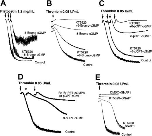 Figure 7. PKA inhibitor KT5720 but not PKG inhibitor KT5823 reverses cGMP-induced inhibition of platelet aggregation. Platelets were preincubated with DMSO (as a control), PKA inhibitor KT5720 (5 μM), or PKG inhibitors KT5823 (5 μM) (A-C,E) or Rp-Br-PET-cGMPS (0.2 mM) (D) for 5 minutes and then incubated with 1 mM 8-bromo-cGMP (A), 3 mM 8-bromo-cGMP (B), 0.1 mM 8-pCPT-cGMP (C-D), or 100 μM NO donor glyco-SNAP 1 (E) for additional 10 minutes. Ristocetin (1.25 mg/mL) (A) or α-thrombin (0.05 U/mL)(B-E) was then added to induce platelet aggregation. Presented in the figure are the representative results of at least 3 experiments.