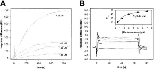 Figure 6. Binding of myosin and fibrin monomers measured by SPR. (A) Myosin (at the indicated concentrations in 10 mM HEPES, 250 mM NaCl, 3 mM CaCl2, pH 7.4) was applied to fibrin immobilized on the surface of the sensor chip and the relative SPR response (subtracting the response on the control BSA-coated surface) was recorded in a Biacore X system. (B) Fibrin prepared in the presence of 5 mM GPRP (in 10 mM HEPES, 150 mM NaCl, 3 mM CaCl2, pH 7.4) was applied at the concentrations indicated in the inset to myosin immobilized on the surface of the sensor chip. The relative SPR response was recorded. The primary Req values were plotted (inset) and fitted to the equation described in “Materials and methods.”
