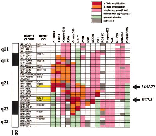 Figure 5. Genomic structure of the 18q amplicon shown by comparative genomic hybridization to microarrays in B-NHL cell lines. Only the 18q clones from the HumArray 1.14 CGH microarray are shown; a full list of these clones and the numeric results of array CGH are provided in Supplemental Table S2. Each clone contains at least one sequenced tagged site (STS), allowing linkage to the genome sequence (http://genome.cse.ucsc.edu). The order of the clones was arranged according to the April 2002 version of the draft. The array provides an average resolution of 1.4 Mb across chromosome 18. Both BCL2 and MALT1 peaks of amplification are indicated by arrows.